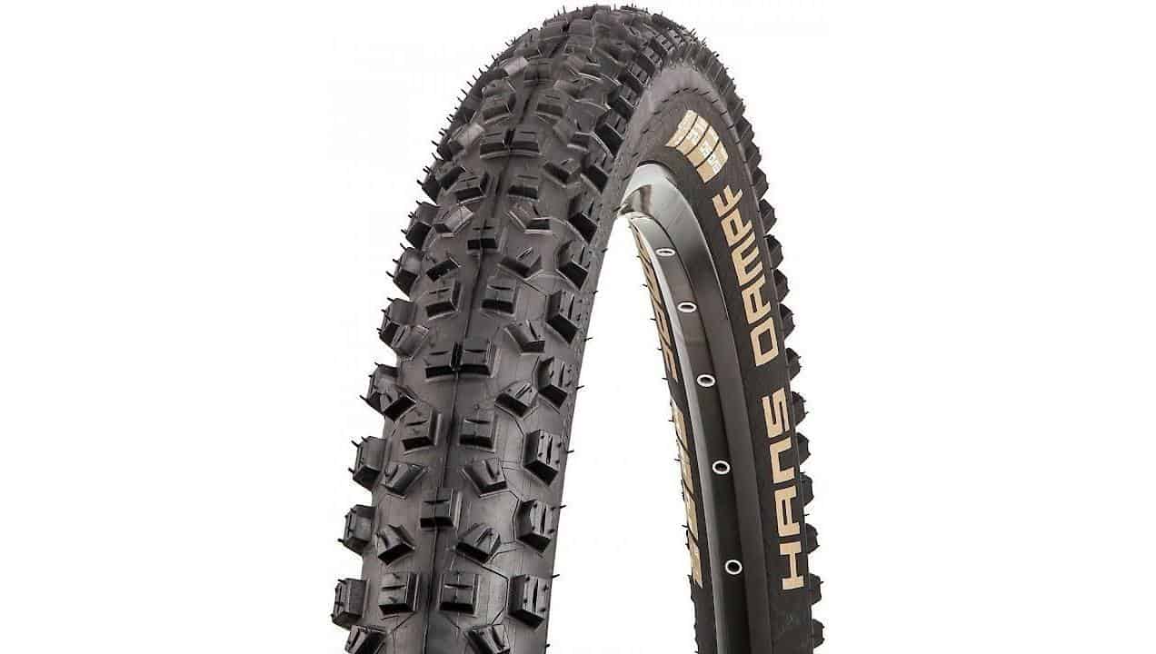 Schwalbe Hans Dampf Snake Skin TL-Ready Mountain Bike Tire