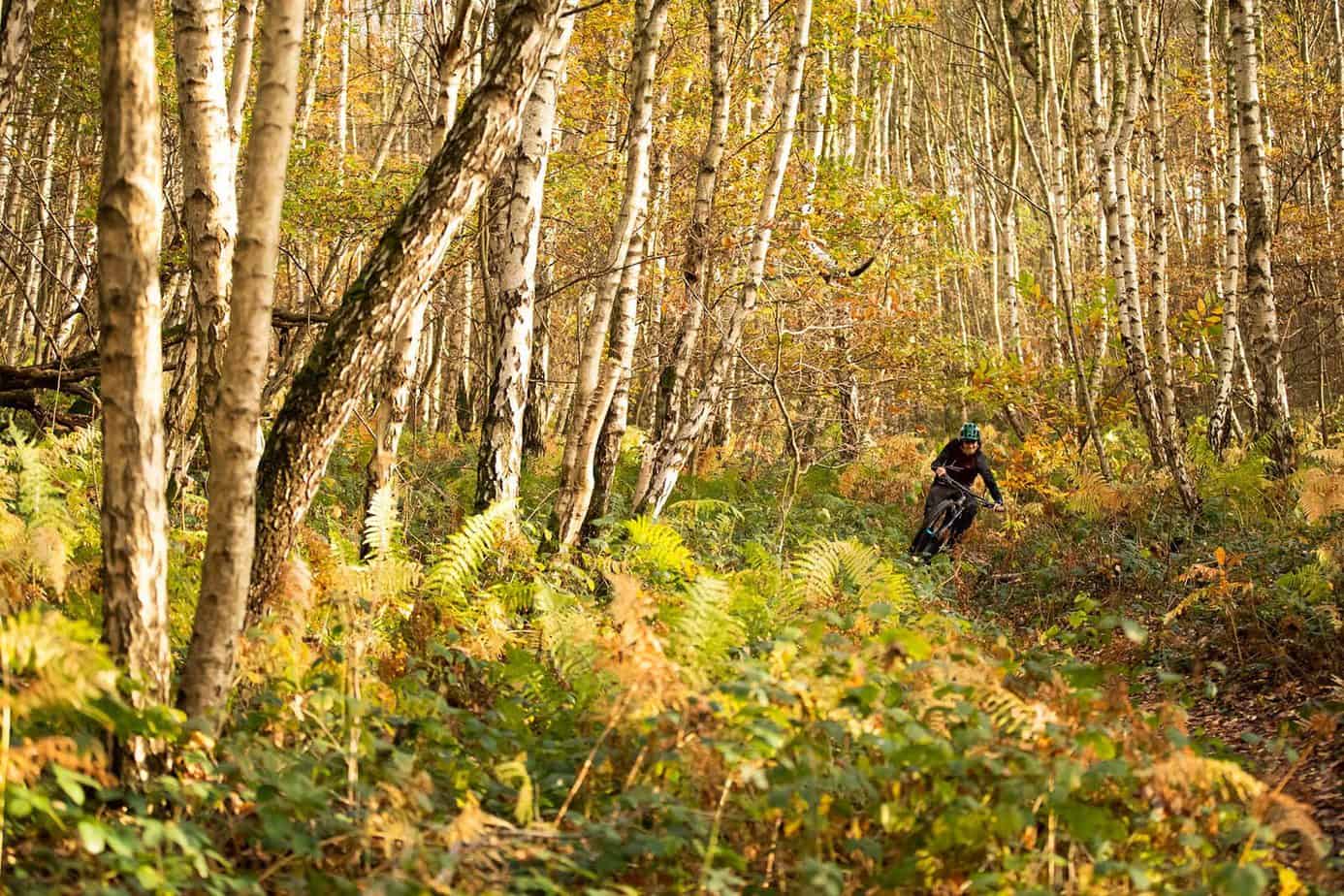 The Santa Cruz Chameleon Review That You'll Love! ⋆ Mountain Bike Insider