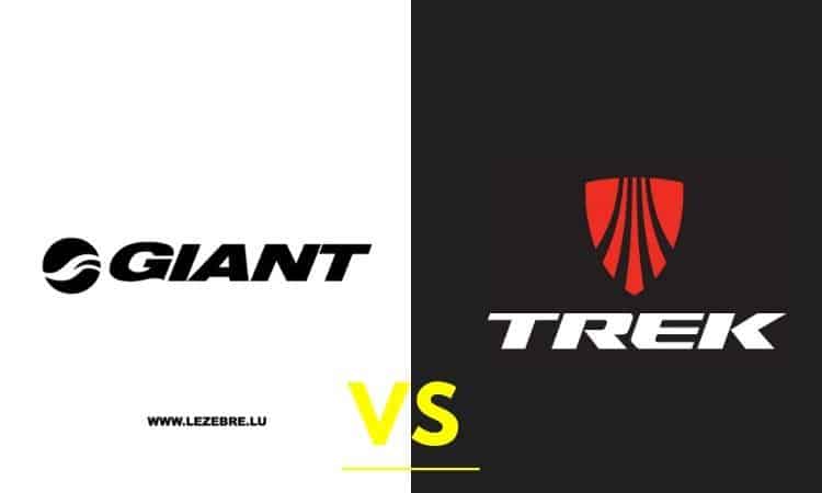 trek v giant