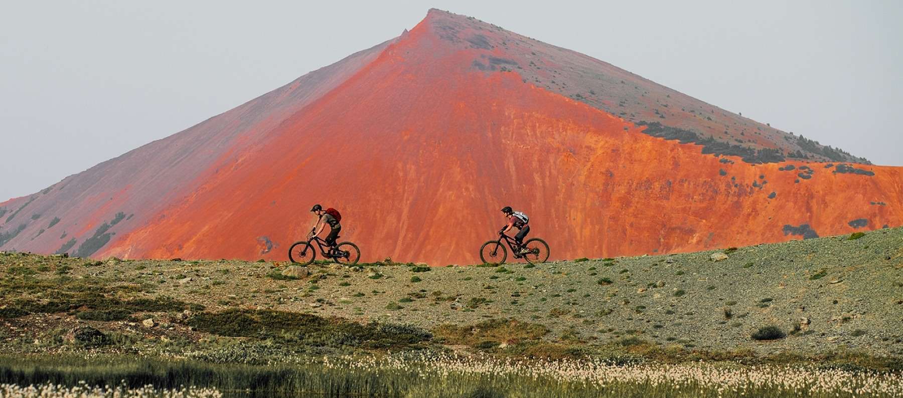 cannondale vs specialized mountain bikes