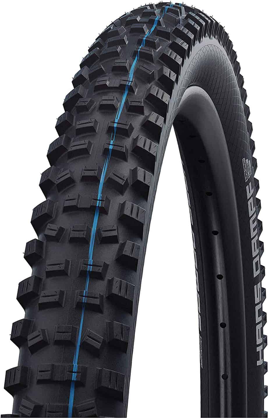 SCHWALBE Hans Dampf Addix Evo Folding Mountain Bike Tire