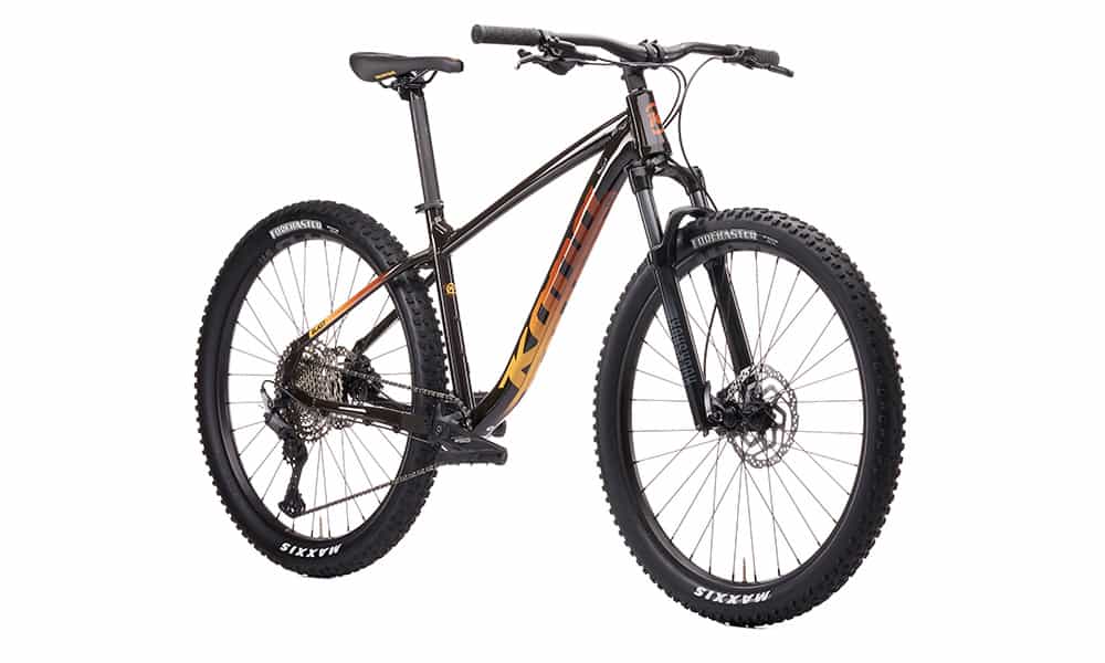 Hardtail Bike