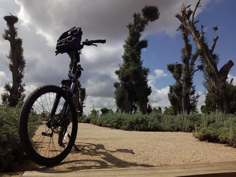 gravel bike