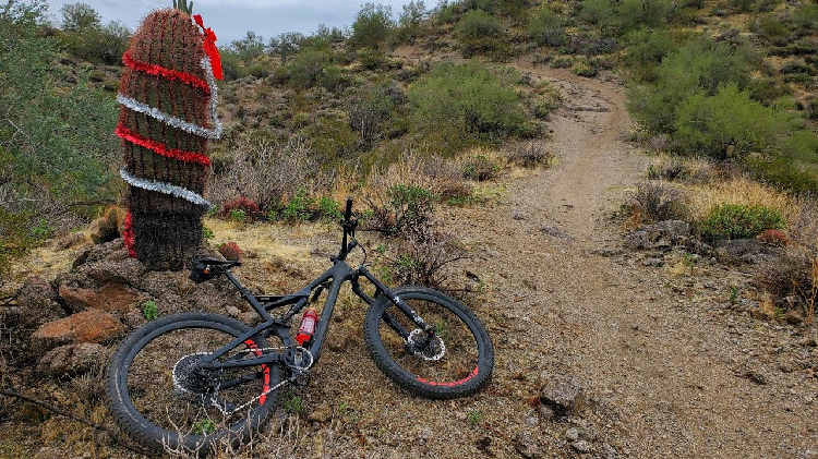 Hawes Trail System, Mesa