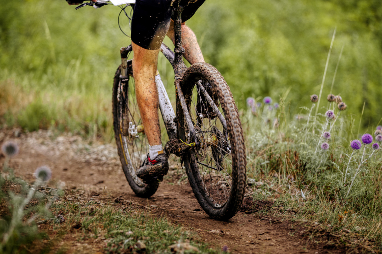 Top Mountain Bike Trails in Arizona ⋆ Mountain Bike Insider