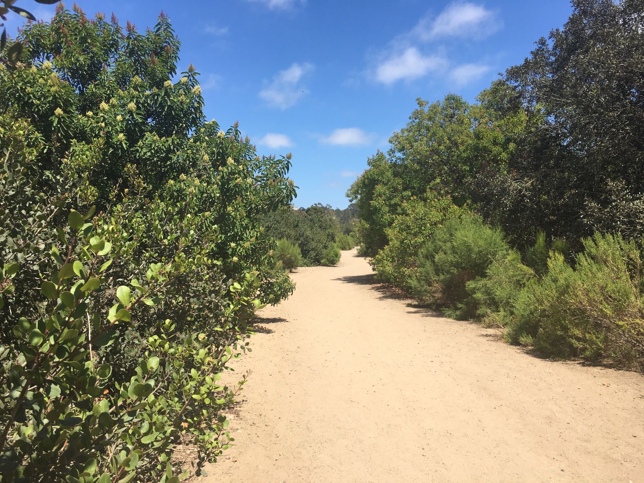 Telecote Canyon Trail