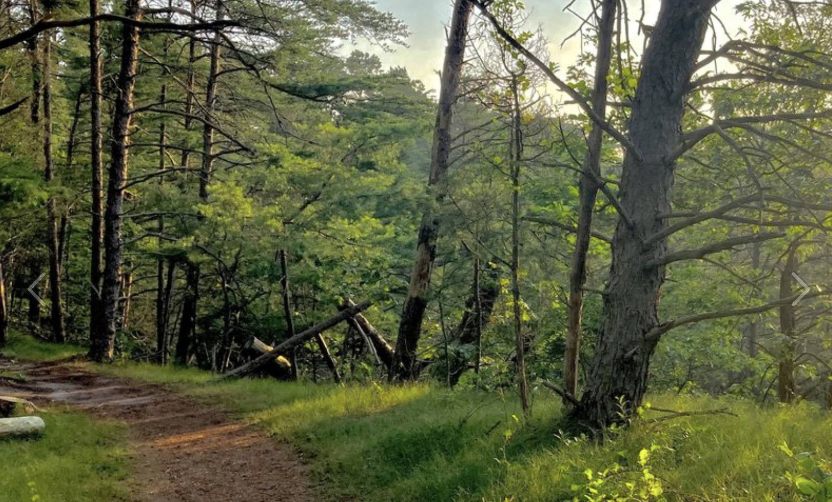 Marice River Bluffs Trail