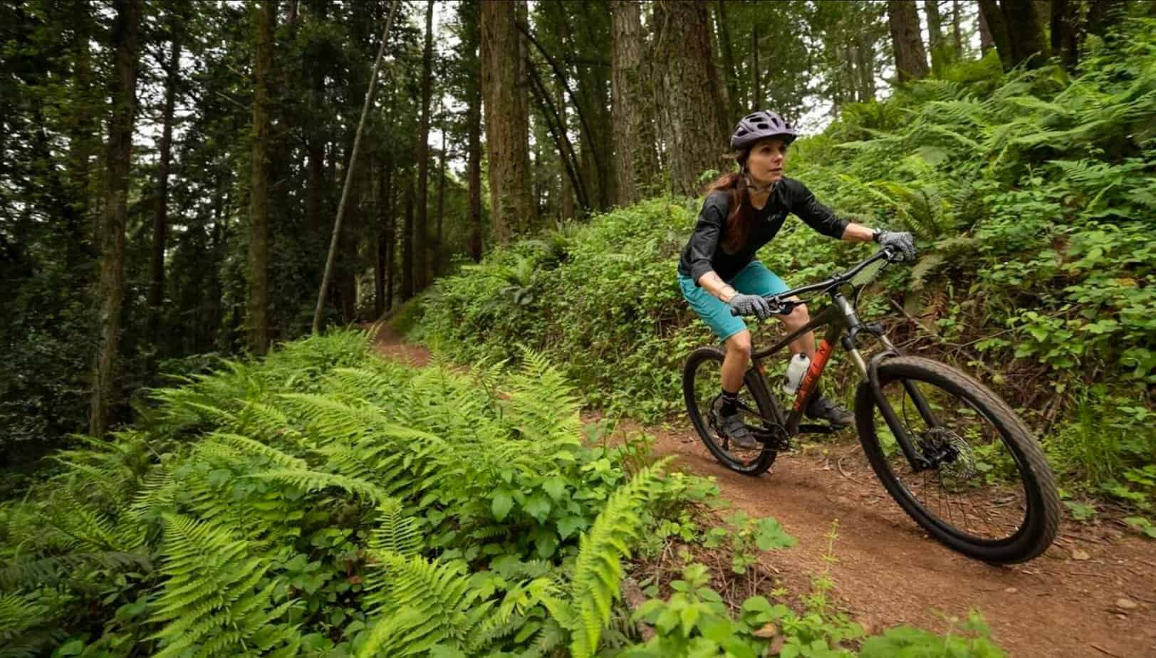 Marin Mountain Bikes